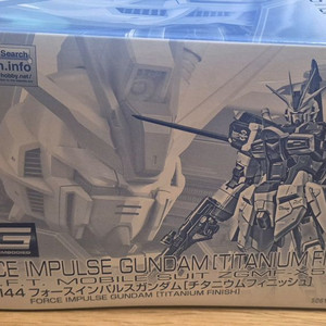 RG 포스 임펄스 건담 티타늄 피니쉬