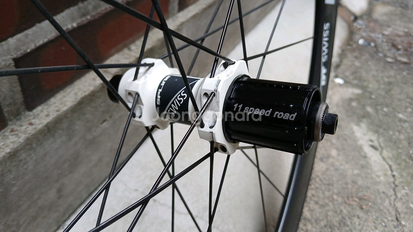 DT Swiss RC55T spline 휠셋--6