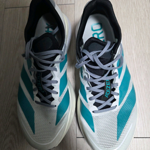 아디다스 보스턴13 255사이즈