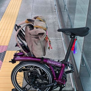 2025 p 12단 브롬톤