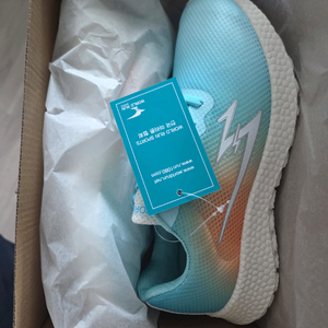 월드런 전마협 러닝화 260 새것