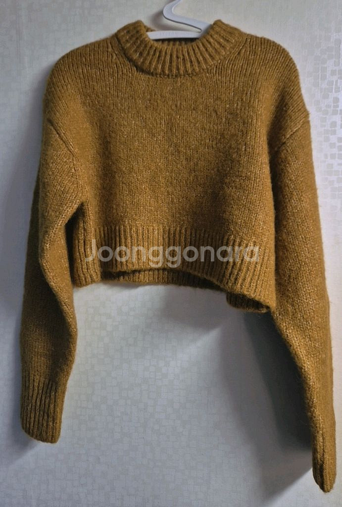 H&M 크롭 니트 겨자색--0