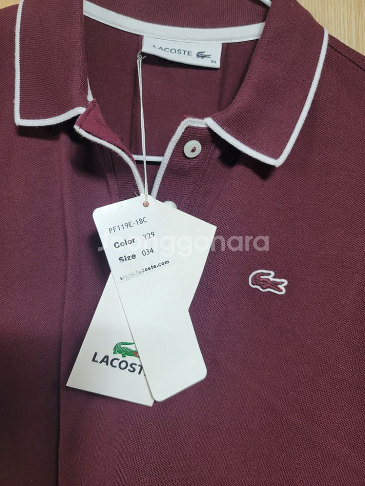 라코스테 여성카라티 34--5