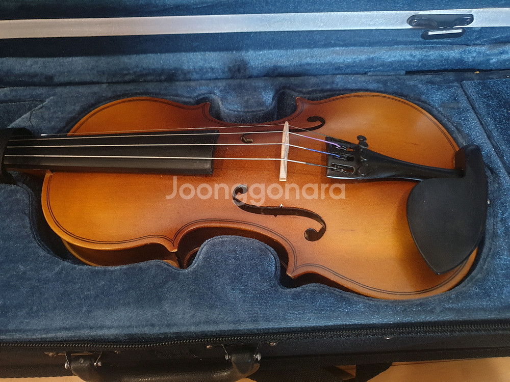 바이올린 2/1사이즈(인천)--3
