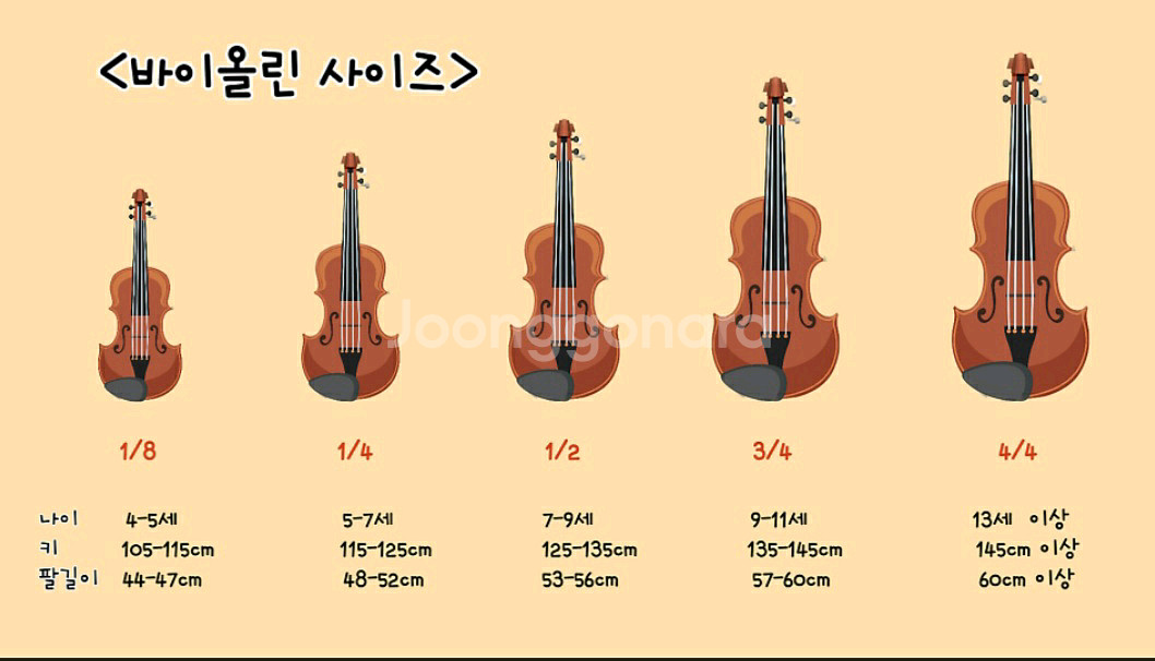 바이올린 2/1사이즈(인천)--6