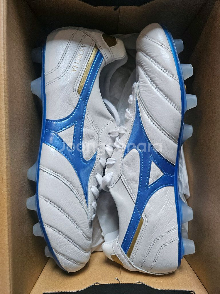 미즈노 모렐리아2 재팬 270--0