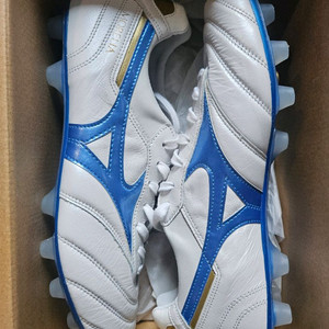 미즈노 모렐리아2 재팬 270