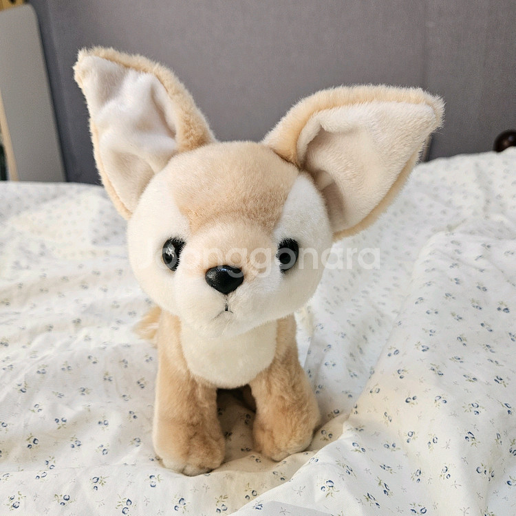 에버랜드 사막여우 중형 인형--0