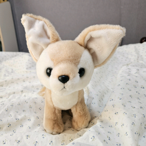 에버랜드 사막여우 중형 인형