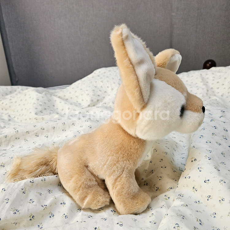 에버랜드 사막여우 중형 인형--1