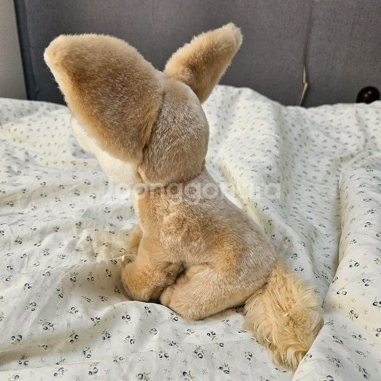 에버랜드 사막여우 중형 인형--3