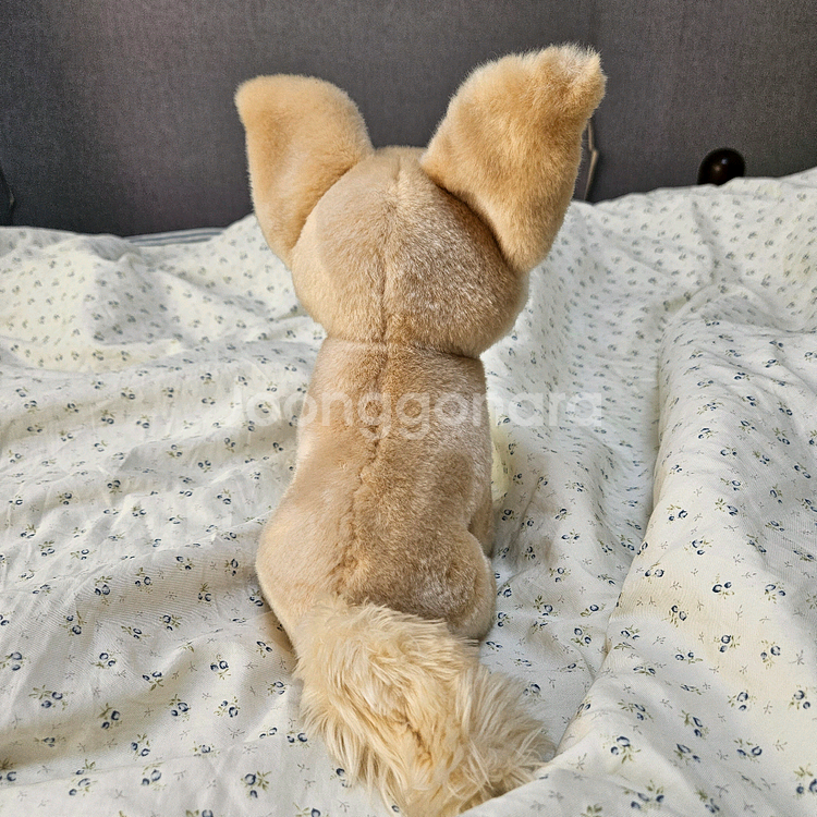 에버랜드 사막여우 중형 인형--2