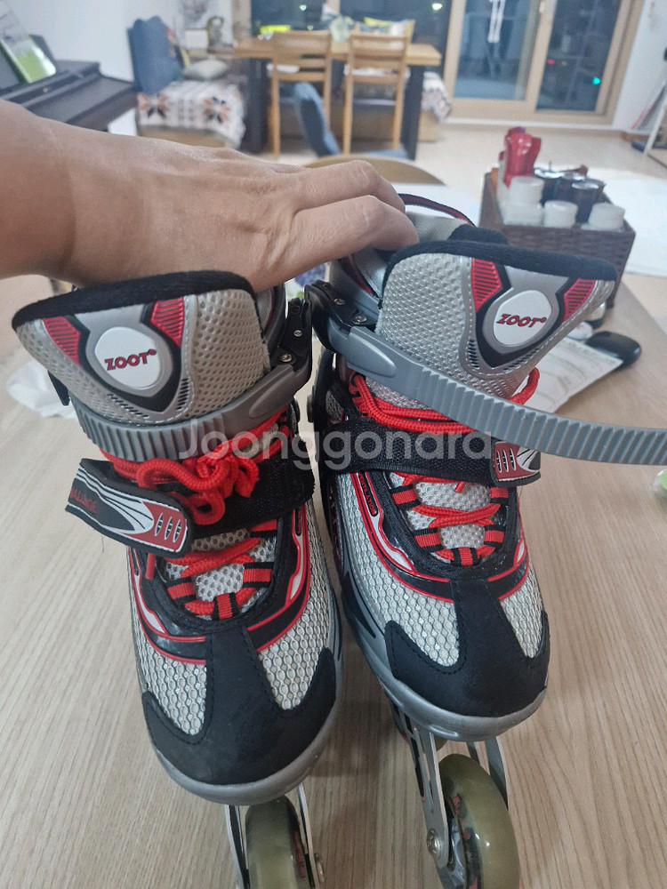 휠러 스케이트--1