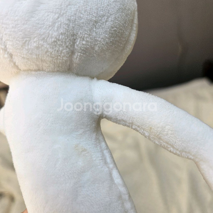 일괄) 적극적인 곰 인형 키링 적극적인곰--3