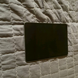 아이패드에어6 m2 11인치