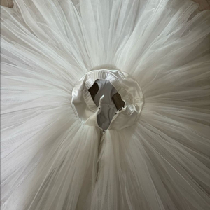 튜튜. 발레 연습용 클래식튜튜