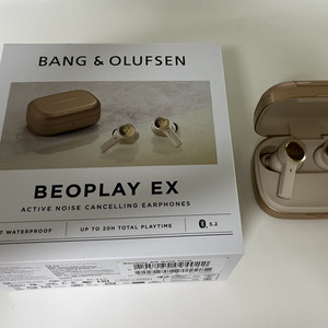 뱅앤올룹슨 비오플레이 EX 무선 이어폰