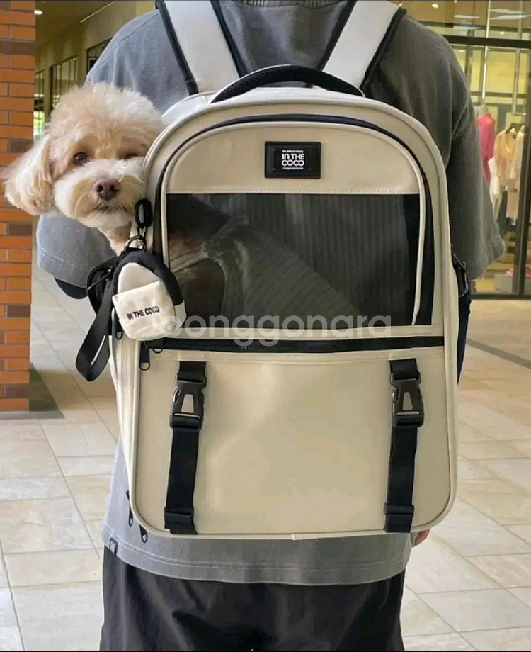 인더코코 강아지가방--0