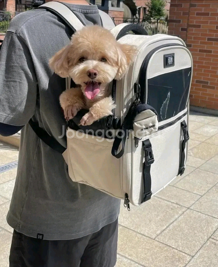 인더코코 강아지가방--2