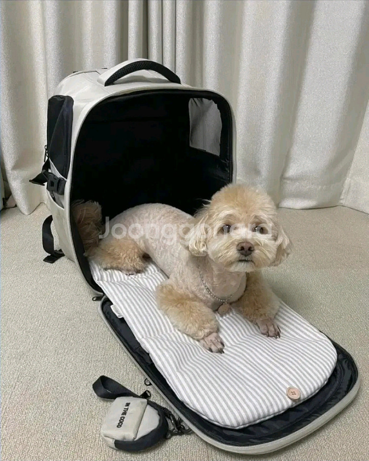 인더코코 강아지가방--3