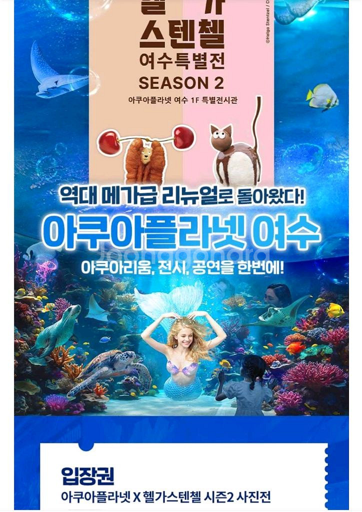 여수아쿠아플라넷 입장권--0