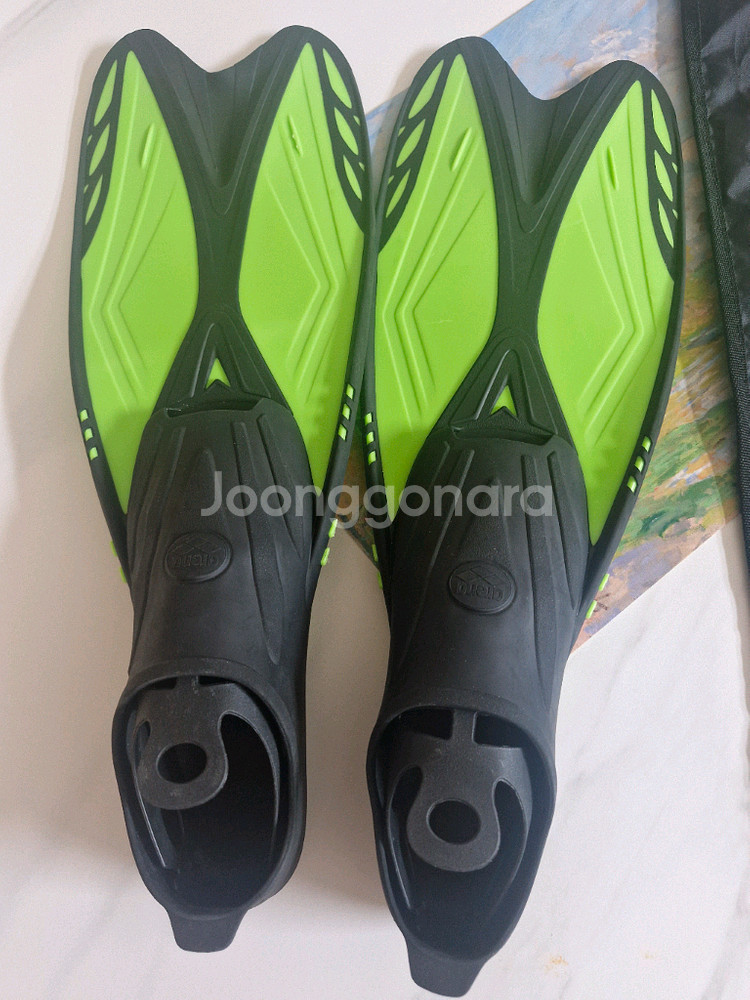 아레나 오리발 xs(235-245)--1