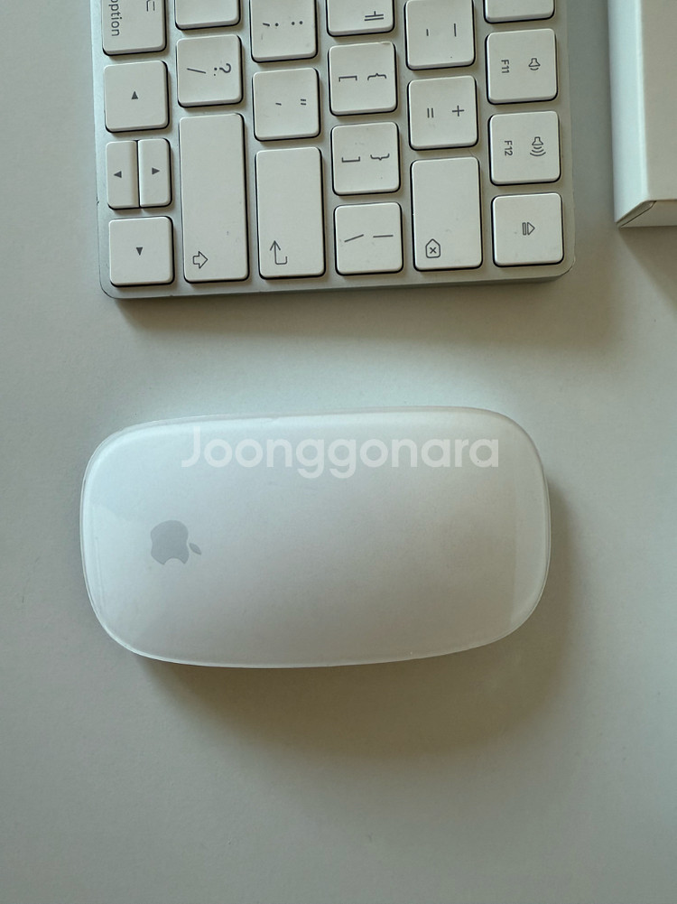 애플 매직키보드 + 매직마우스 세트--1