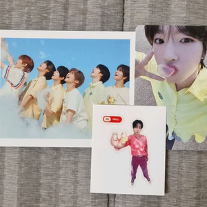 일괄) 위시 팝팝 사쿠야 포카 리쿠 띠부띠부 단체 폴라