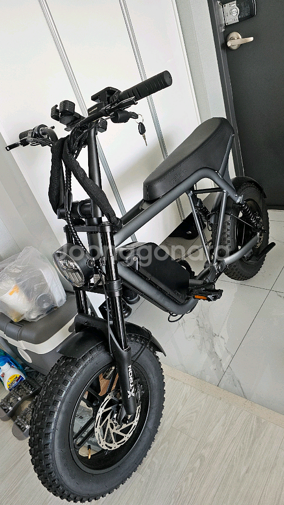 퀄리 엑스트론 미니--1