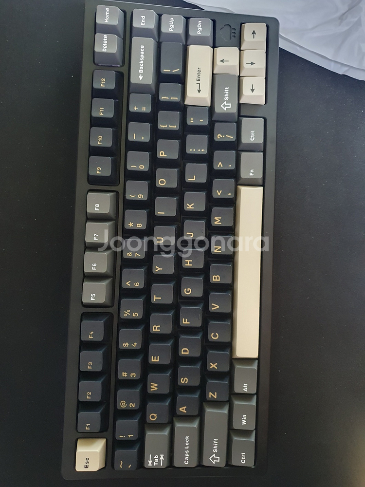 레이니 하옵 블랙 바이올렛축 택포 6.5만--2