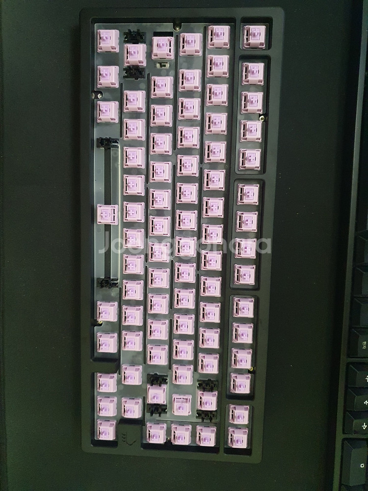 레이니 하옵 블랙 바이올렛축 택포 6.5만--1