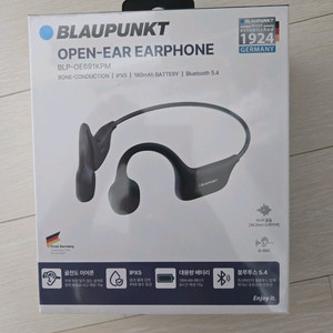 블라우펀크 오픈이어 무선 이어폰