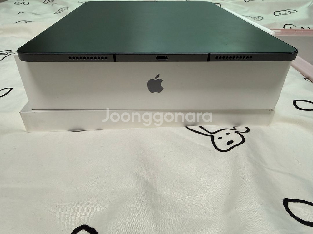 아이패드프로 12.9 5세대 (m1) 512 셀룰러 + 애플펜슬 2세대--2