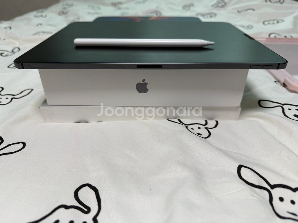 아이패드프로 12.9 5세대 (m1) 512 셀룰러 + 애플펜슬 2세대--4