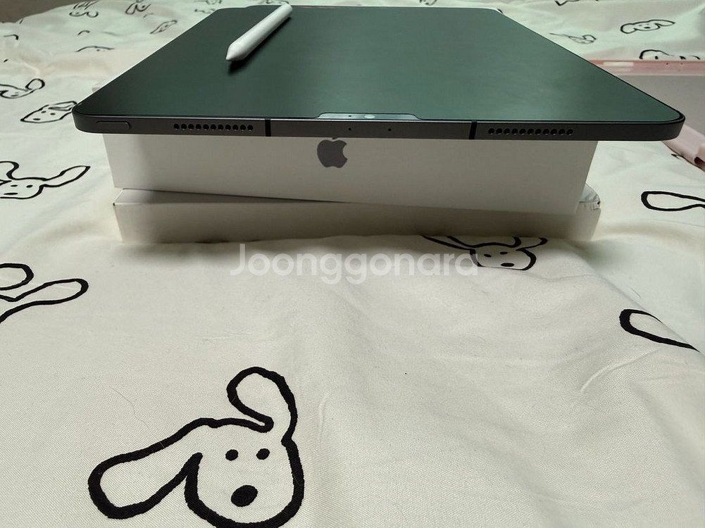 아이패드프로 12.9 5세대 (m1) 512 셀룰러 + 애플펜슬 2세대--5