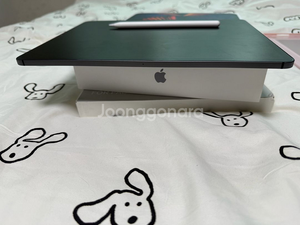 아이패드프로 12.9 5세대 (m1) 512 셀룰러 + 애플펜슬 2세대--6