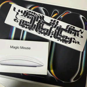 아이패드프로M4 13 256wifi + 애플펜슬프로, 매직마우스