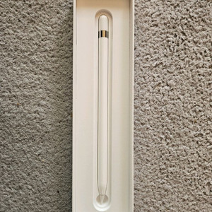 애플펜슬 1세대