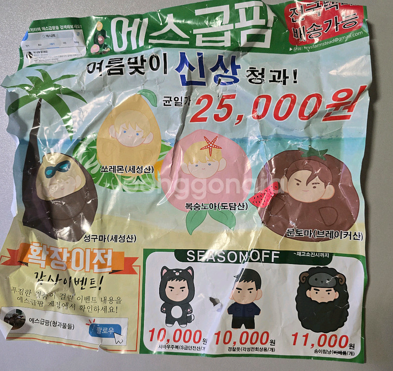 내스급 에스급팜 솜인형 (성현제 문현아 노아 소영)--0