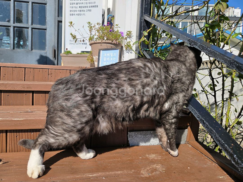 롯데시네마 나우 유씨미 2인예매--0