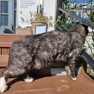 롯데시네마 나우 유씨미 2인예매