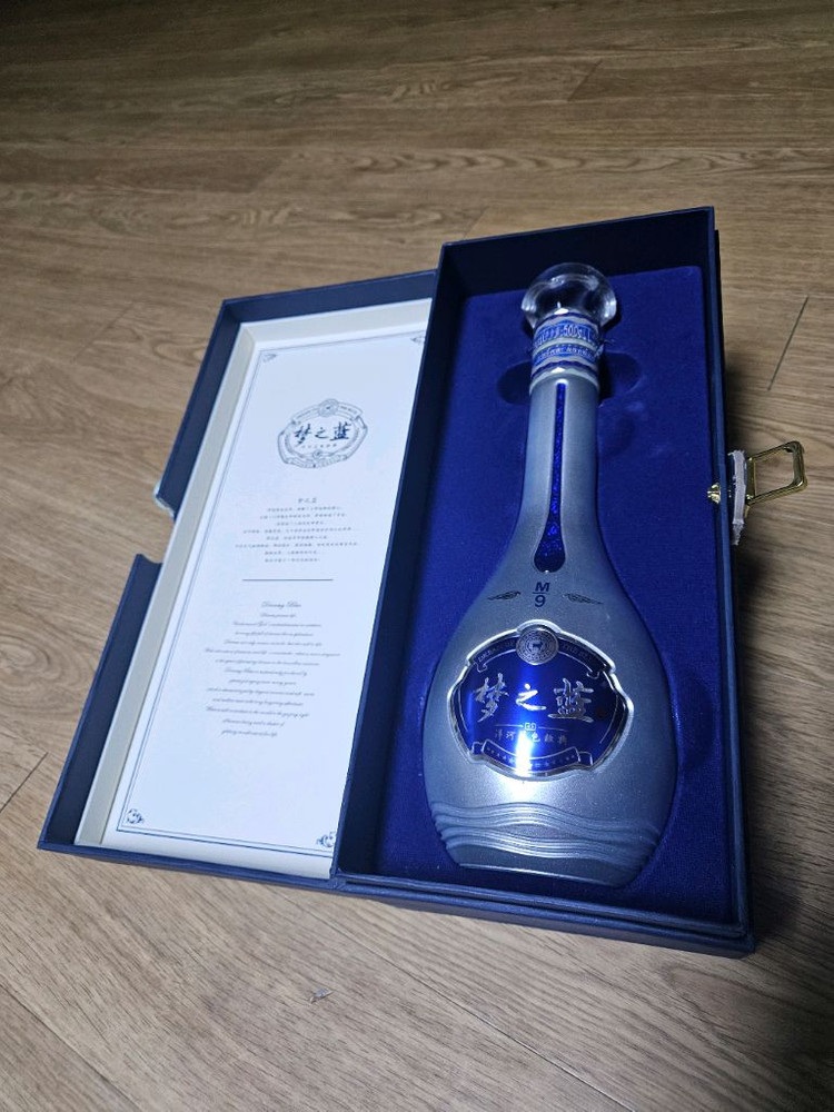 몽지람M9 공병--1