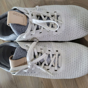 에코 쿠션 골프화 235사이즈