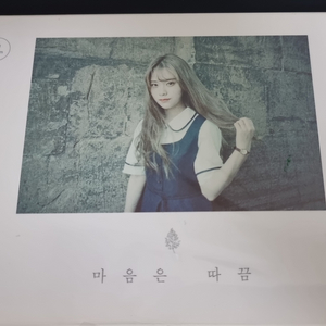 노르웨이숲 마음은 따끔 앨범