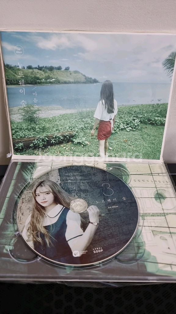 노르웨이숲 마음은 따끔 앨범--1