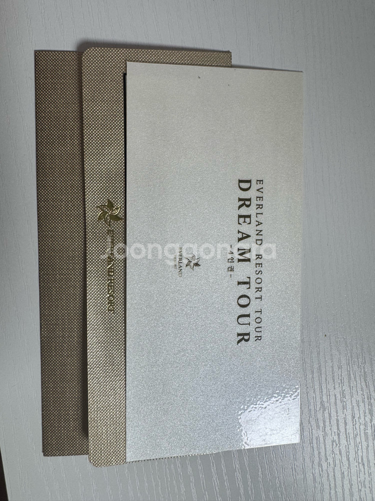 에버랜드 드림투어 입장권--0