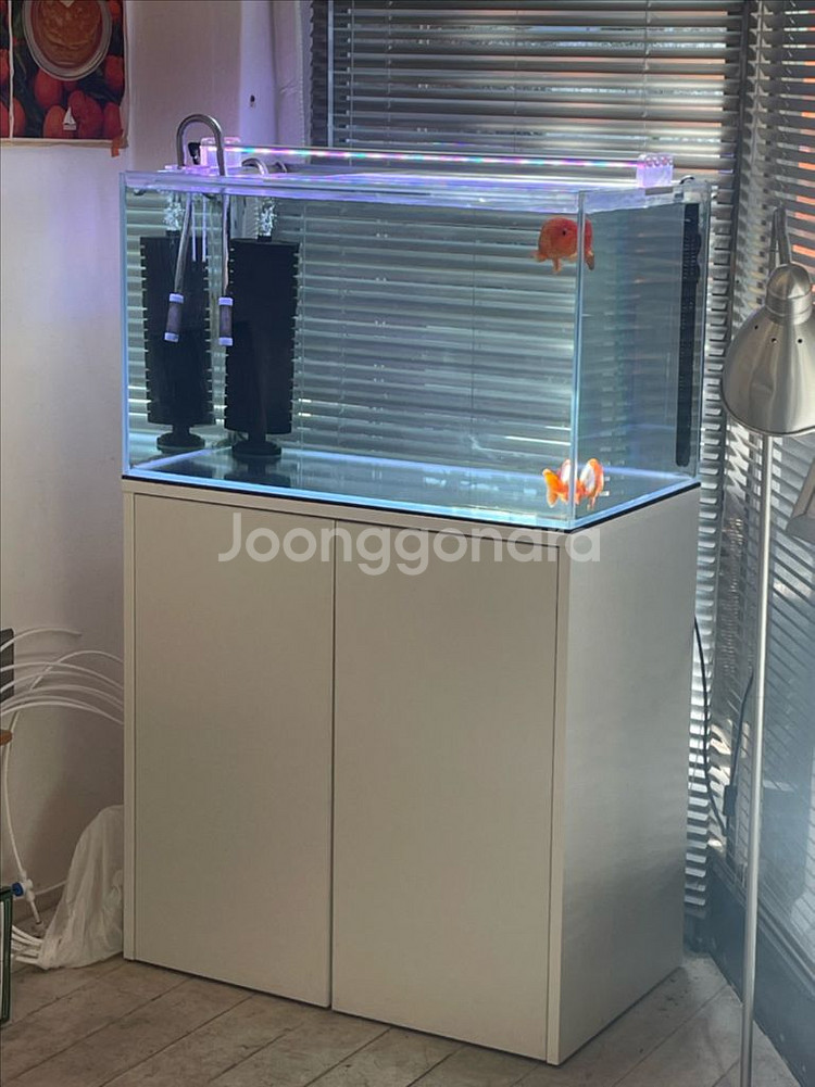 2자반 어항 세트--0
