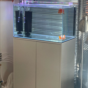 2자반 어항 세트