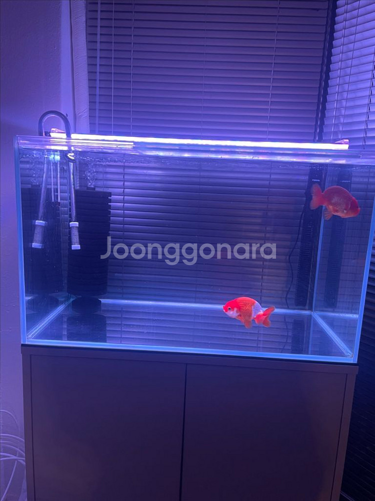 2자반 어항 세트--6