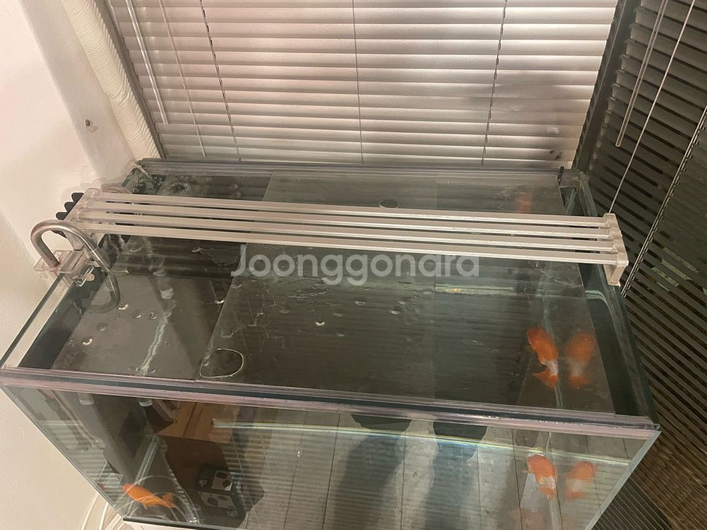 2자반 어항 세트--1